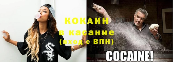 мет Арсеньев
