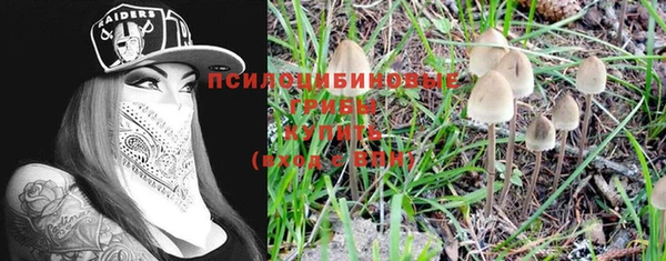 ПСИЛОЦИБИНОВЫЕ ГРИБЫ Армянск