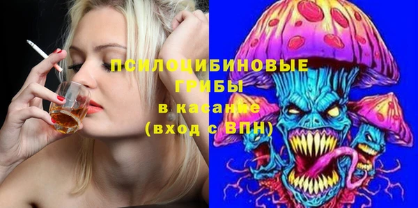 ПСИЛОЦИБИНОВЫЕ ГРИБЫ Армянск
