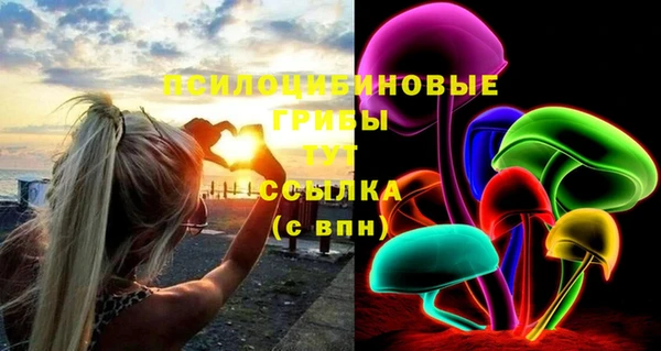ПСИЛОЦИБИНОВЫЕ ГРИБЫ Армянск